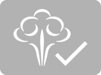 Information about dry steam cleaning