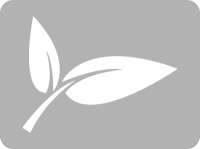 Information about dry steam cleaning